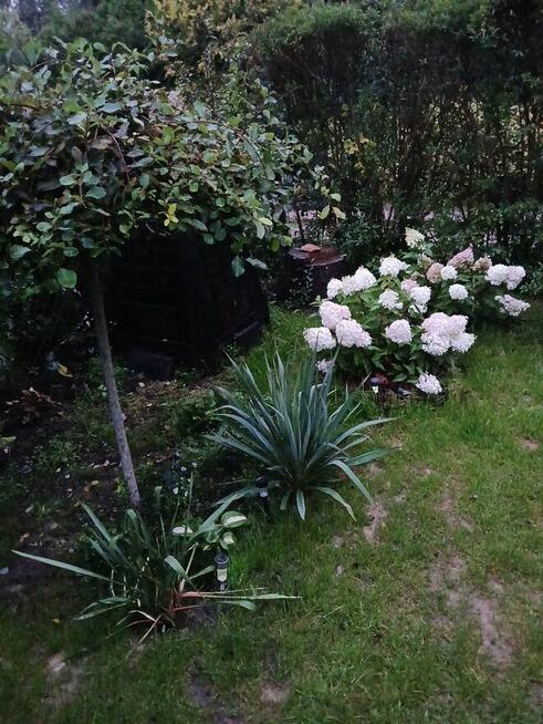 Dzialka Rod OkAzJa , MeGa ZaDbAnA