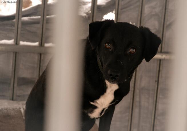 Jacky vel Pietruszka ️???? Następną zimę chciałaby spędzić w