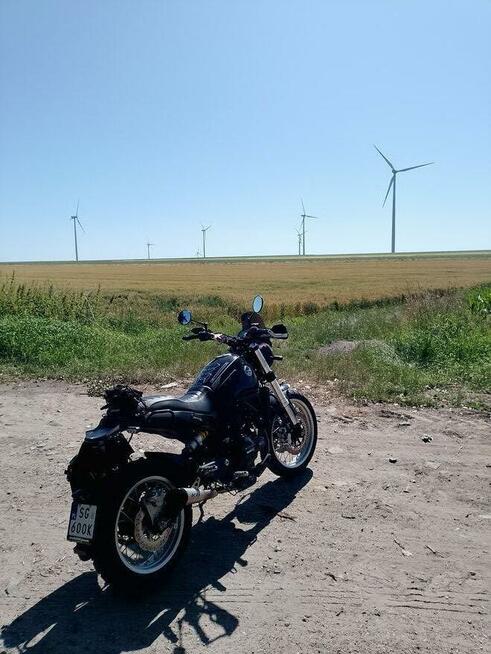 Benelli Leoncino 500 scrambler