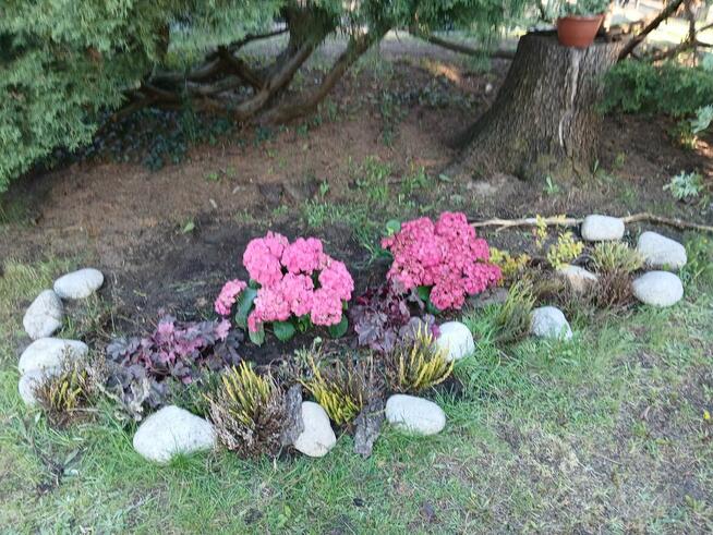 Dzialka Rod OkAzJa , MeGa ZaDbAnA