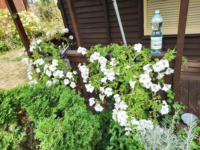 Dzialka Rod OkAzJa , MeGa ZaDbAnA