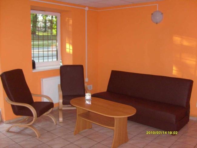 Strzyżenie psów w Rudzie Śląskiej