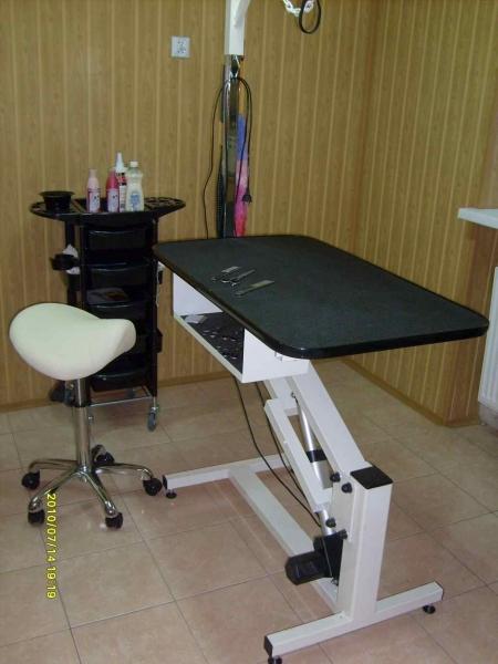 Strzyżenie psów w Rudzie Śląskiej