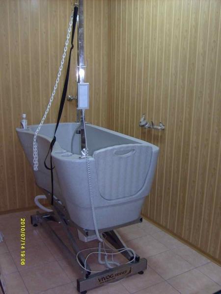 Strzyżenie psów w Rudzie Śląskiej