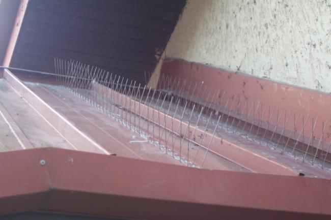 Deratyzacja, Dezynfekcja Dezynsekcja