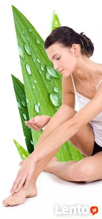 - 50% rabatu na bezbolesną depilację IPL- Depilacja super pr