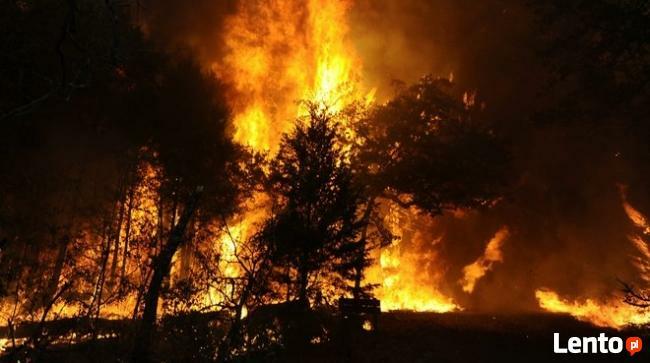 POWYPADKOWA DIAGNOZA PSYCHOLOGICZNA