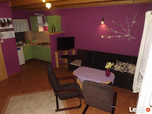 BIESZCZADY CAŁOROCZNE DOMKI APARTAMENTOWE POD LIPĄ