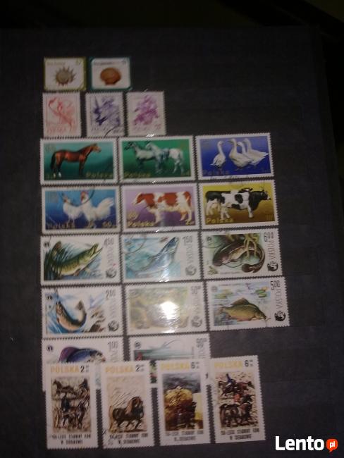 Sprzedam klaser ze znaczkami