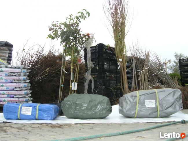 Plandeka 15m x 20m, Warszawa Wolska