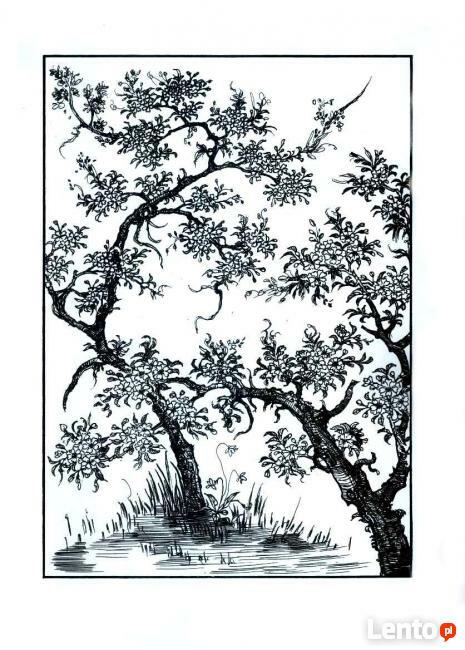 6 grafik tworzących cykl JAPOŃSKIE KWIATY