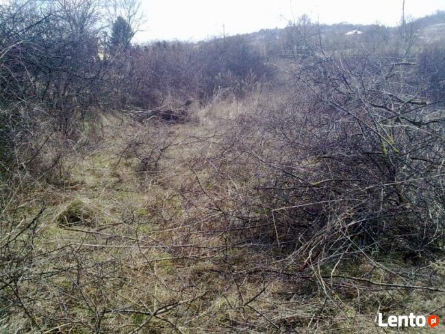 ***Tanie sprzątanie***