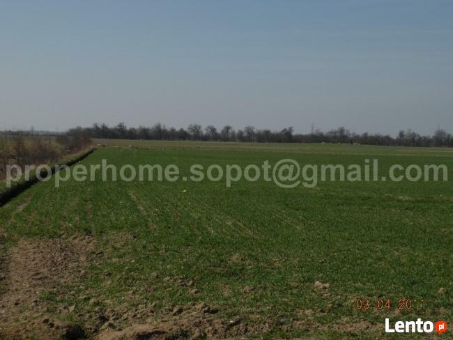 Grabków działka rolno - budowlana