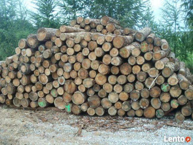 drewno kominkowe i opałowe