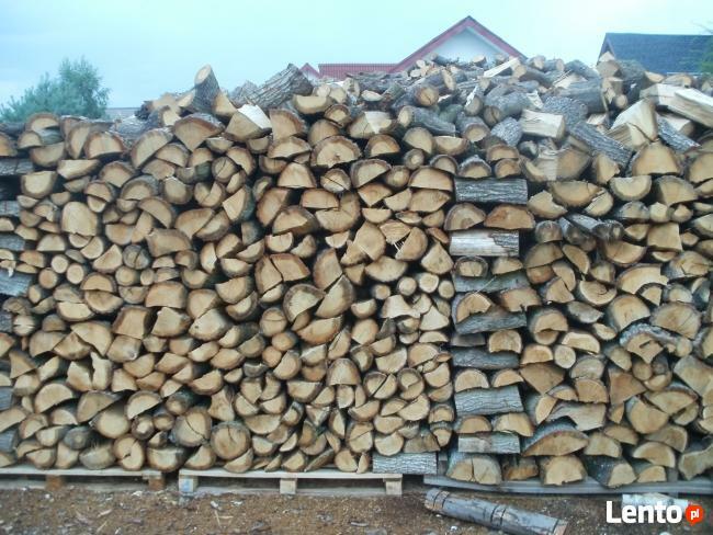 drewno kominkowe i opałowe