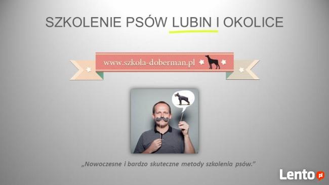 Szkolenie psów Lubin - Szkoła Dla Psów Lubin, tresura psa