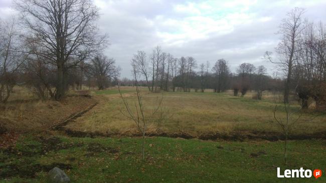 Sprzedam całą posiadłość na Majdanie