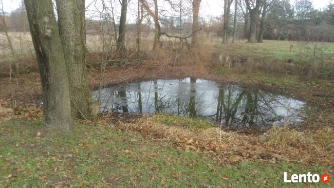 Sprzedam całą posiadłość na Majdanie