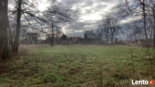 Sprzedam całą posiadłość na Majdanie