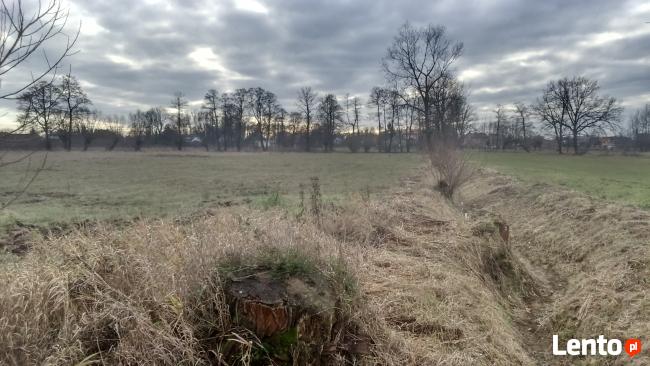 Sprzedam całą posiadłość na Majdanie