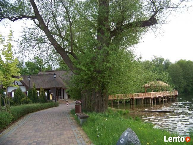 Domki i pokoje studio nad jeziorem w BORACH TUCHOLSKICH