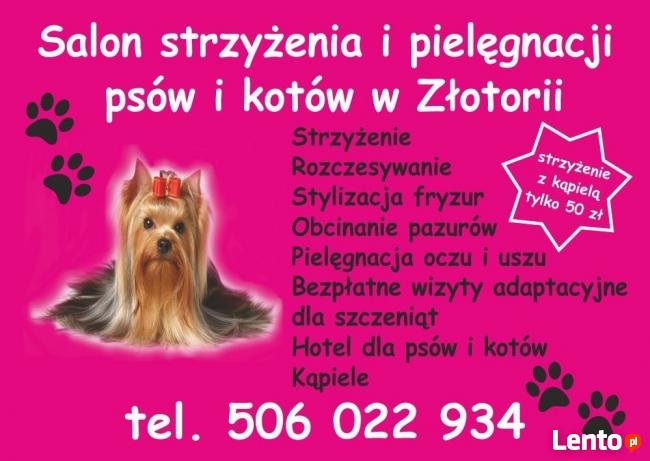 Salon strzyżenia i pielęgnacji psów w Złotorii