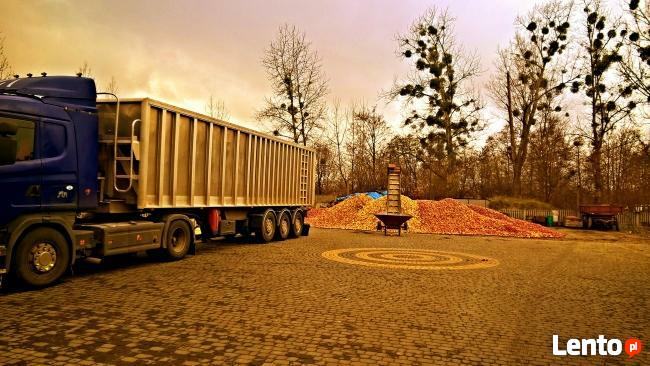 Skup jabłek przemysłowych