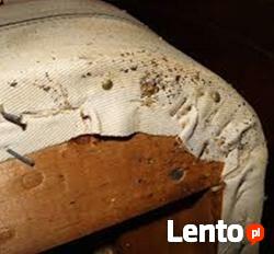 Dezynfekcja Dezynsekcja Deratyzacja - 606-692-449 opolskie