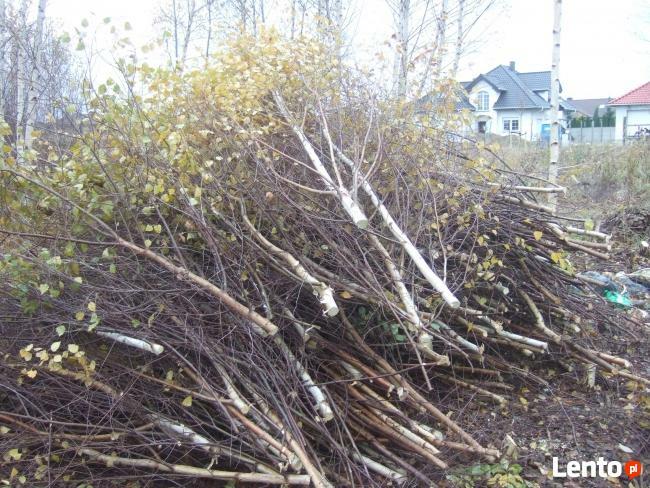 WYCINKA DRZEW - karczowanie terenu - poznań i okolice