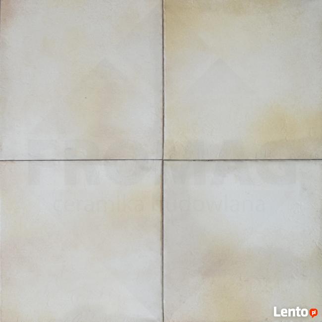 Podłoga RETRO KOLORY Płytki podłogowe KLINKIER FROMAG