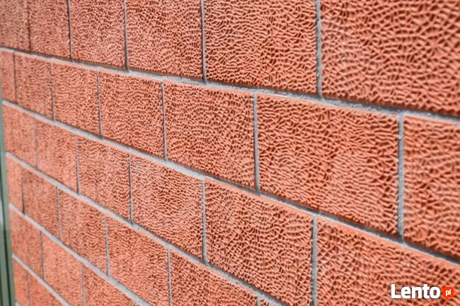 klinkier PRZYSUCHA Płytki ścienne Relief Rustykalne FROMAG