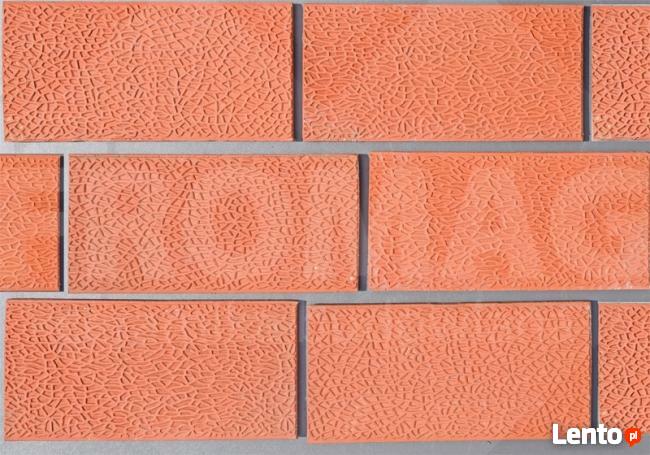 klinkier PRZYSUCHA Płytki ścienne Relief Rustykalne FROMAG