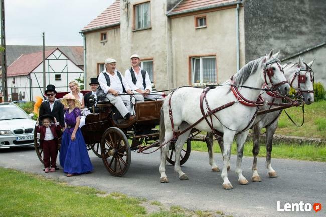 Bryczką Do Ślubu Katowice Kraków
