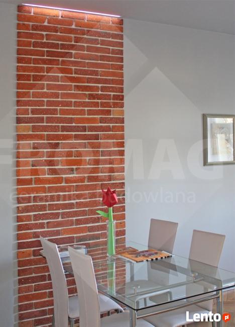 PŁYTKI Z CEGŁY ROZBIÓRKOWEJ gładkie cegła FROMAG