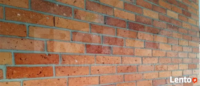 PŁYTKI Z CEGŁY ROZBIÓRKOWEJ gładkie cegła FROMAG