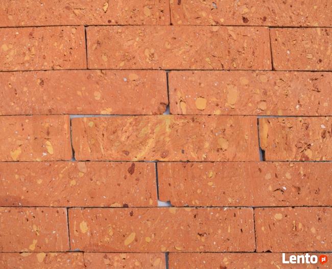 PŁYTKI Z CEGŁY ROZBIÓRKOWEJ gładkie cegła FROMAG
