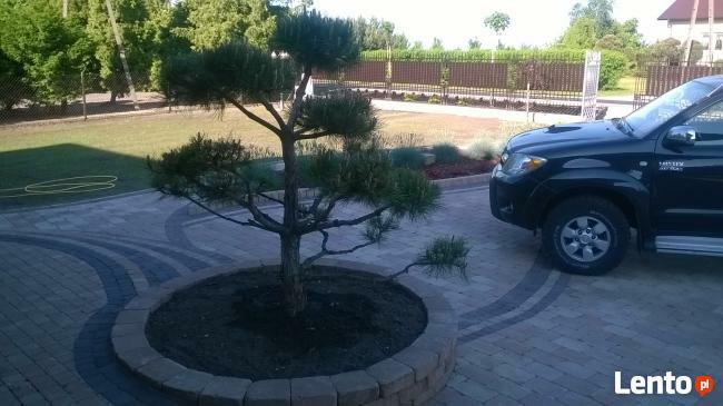 Układanie kostki brukowej