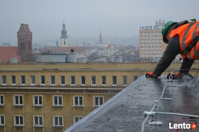 Kolce na ptaki, kolce przeciw gołębiom, siatka na ptaki