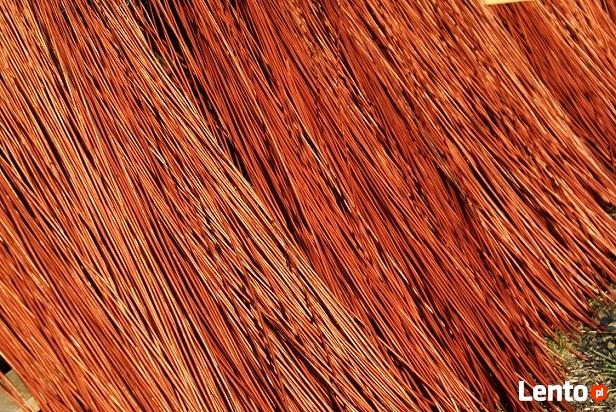 Wiklina Gospodarstwo Wikliniarskie Polskie Plecionkarstwo