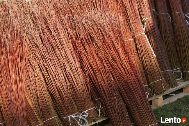 Wiklina Gospodarstwo Wikliniarskie Polskie Plecionkarstwo