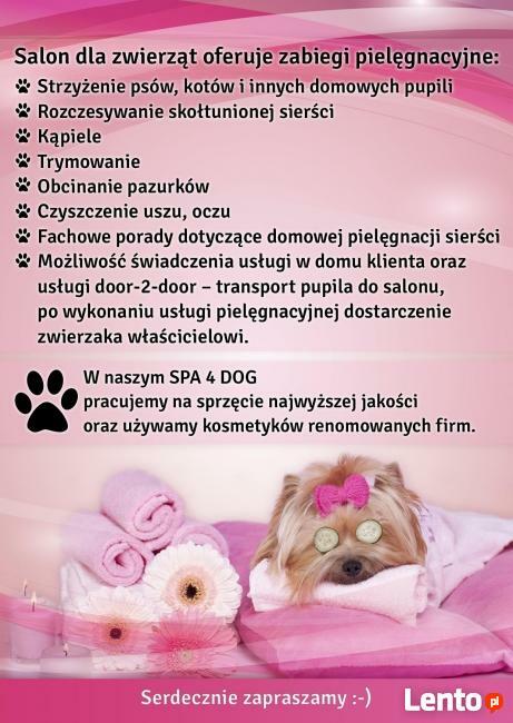 Salon dla zwierząt SPA 4 DOG - Jelcz-Laskowice