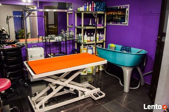 Salon dla zwierząt SPA 4 DOG - Jelcz-Laskowice