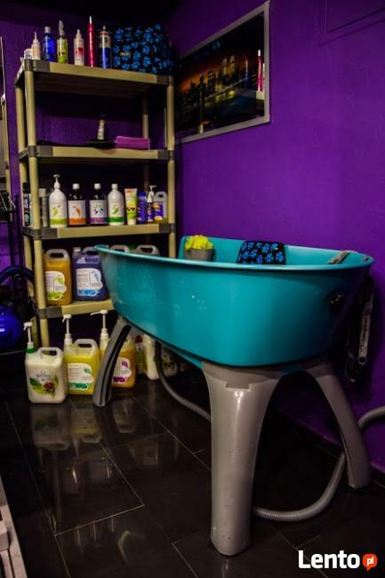 Salon dla zwierząt SPA 4 DOG - Jelcz-Laskowice