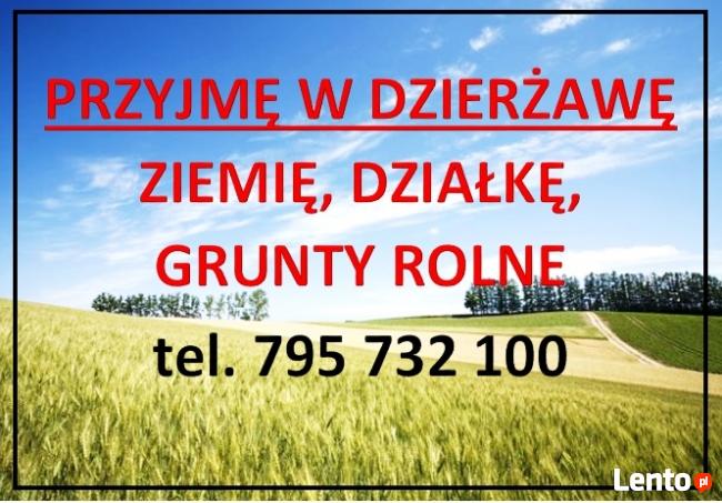PRZYJMĘ W DZIERŻAWĘ ZIEMIĘ ROLNĄ, NIEUŻYTEK ROLNY