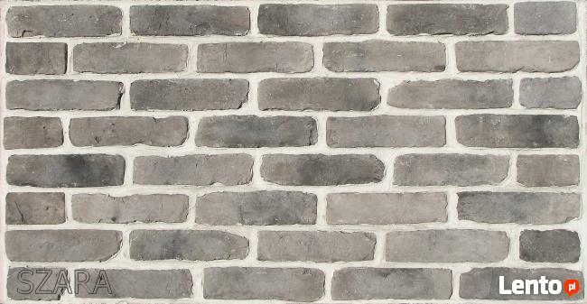 Unikatowe Stare Cegły –Najlepszy Wybór na Ściany i Elewacje