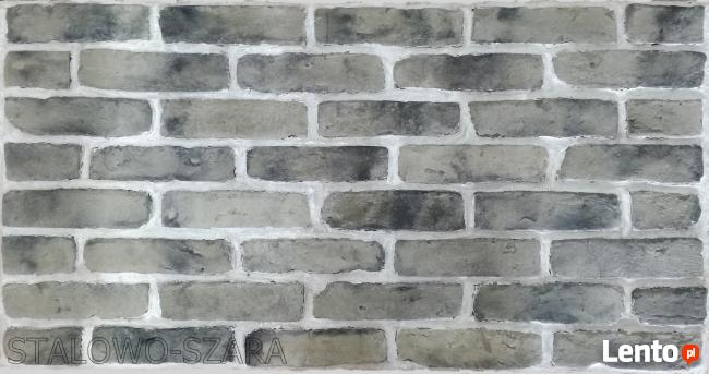 Stare cegły , płytki ceglane , okładzina ceglana, lofty