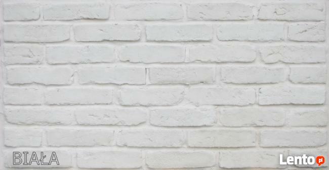 Odkryj Autentyczny Urok Starej Cegły z Naszymi Płytkami!