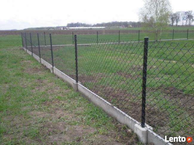 Montaż ogrodzeń z Siatki i Paneli