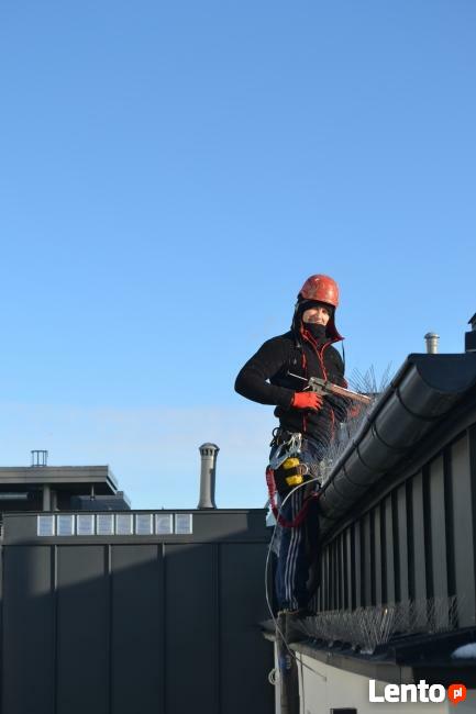 Kolce na ptaki, kolce przeciw gołębiom, antyptaki