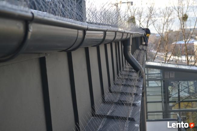 Kolce na ptaki, kolce przeciw gołębiom, antyptaki